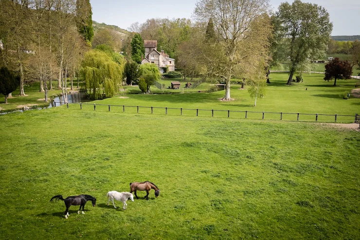 Les chevaux dans les prés du Moulin des Chennevières à Giverny